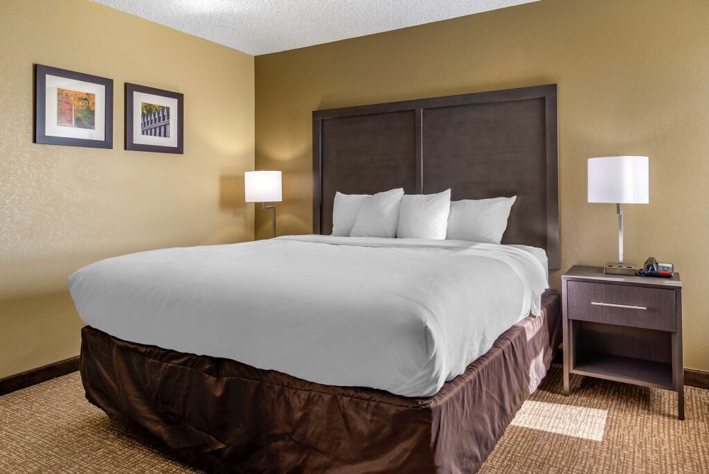 Suite Comfort Inn Opelika - Auburn