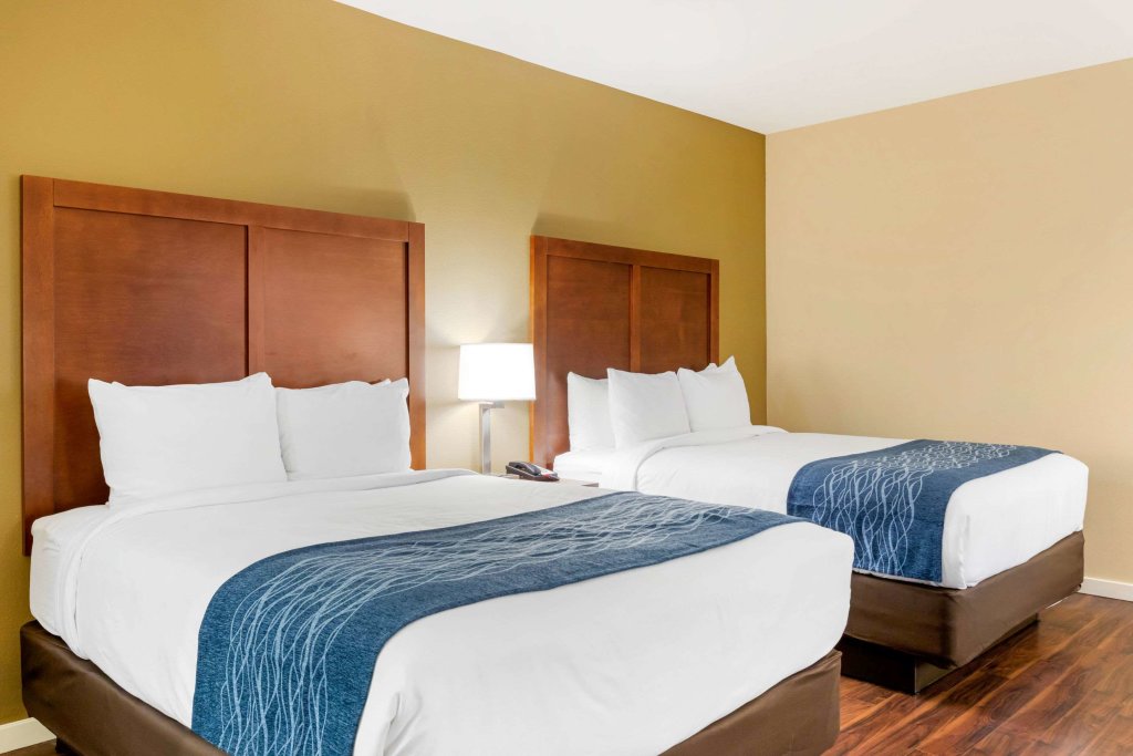 Четырёхместный номер Standard Comfort Inn & Suites Near Ontario Airport