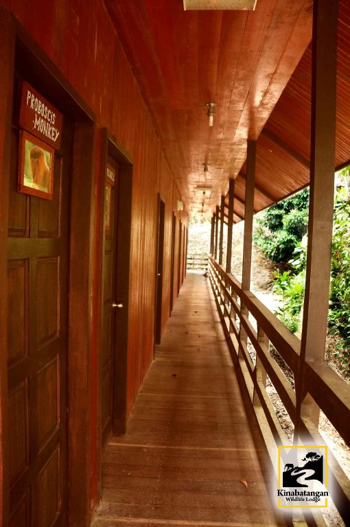 Кровать в общем номере Kinabatangan Wildlife Lodge