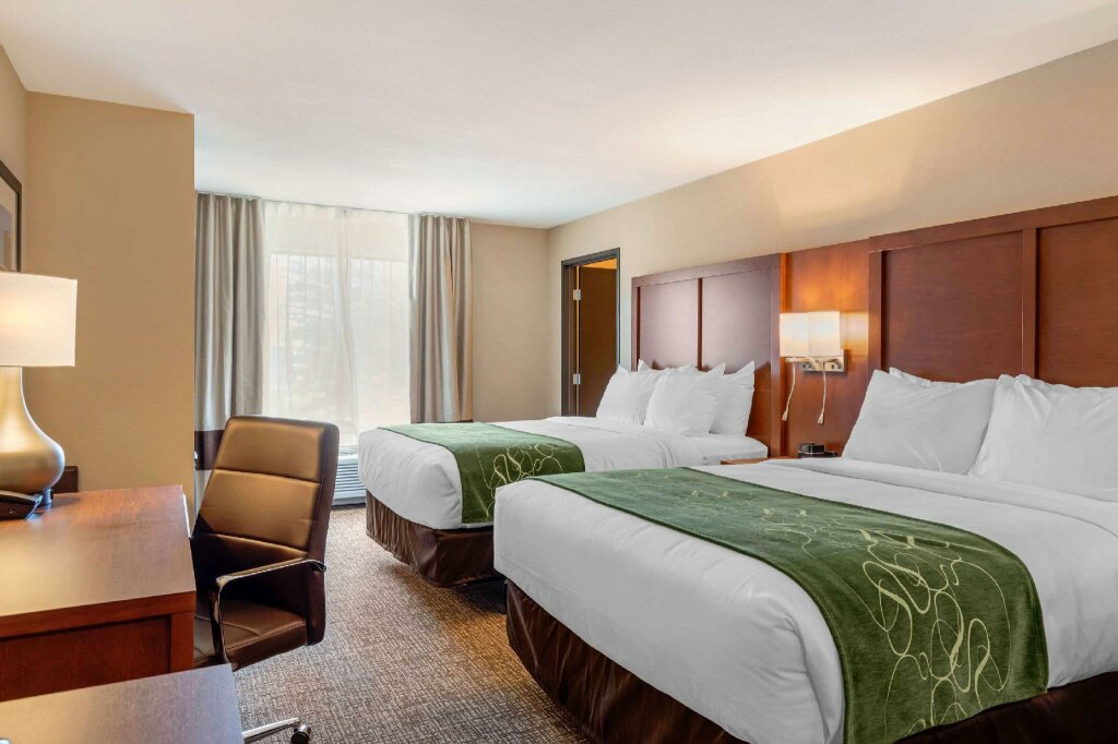 Suite cuádruple Comfort Inn & Suites Schenectady - Scotia