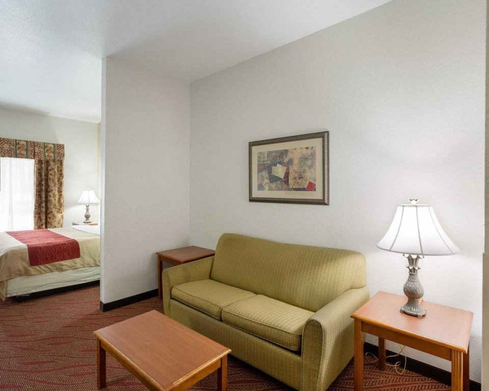 Двухместный люкс c 1 комнатой Comfort Inn & Suites Near Medical Center