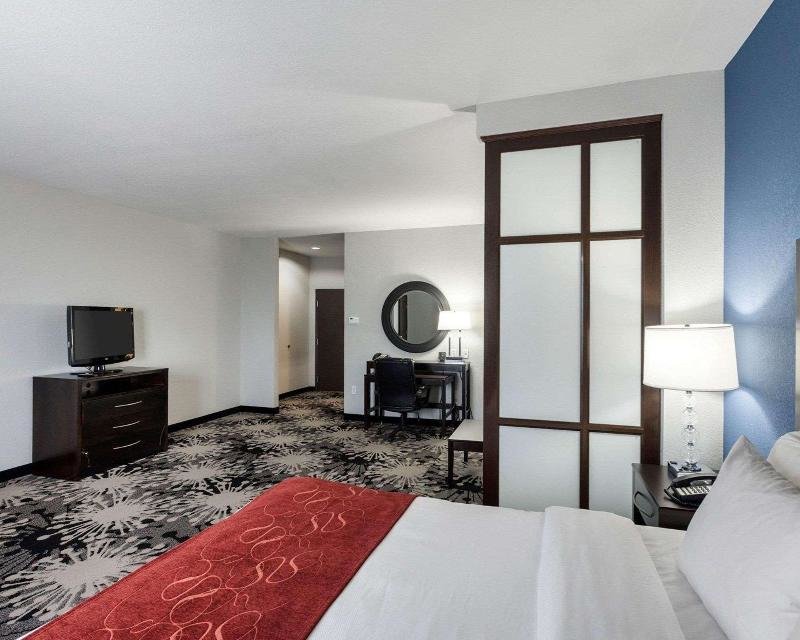 Standard Zimmer Comfort Suites Greenville