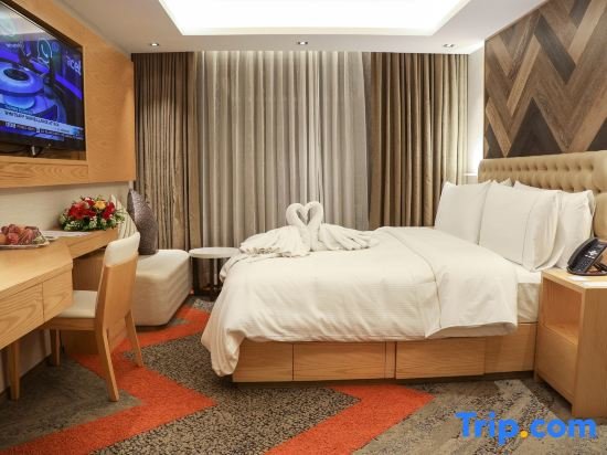 Deluxe room HANSA- A Premium Residence