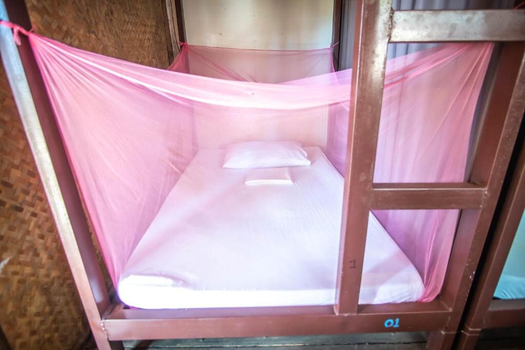 Cama en dormitorio compartido Mad Monkey Hostel Nacpan Beach