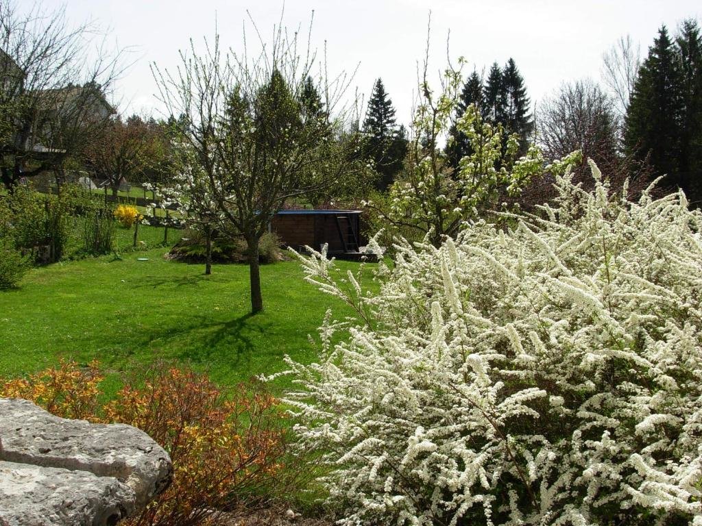 Двухместный номер Standard с видом на сад Chambres D'Hotes La Maison Des Chiens Verts