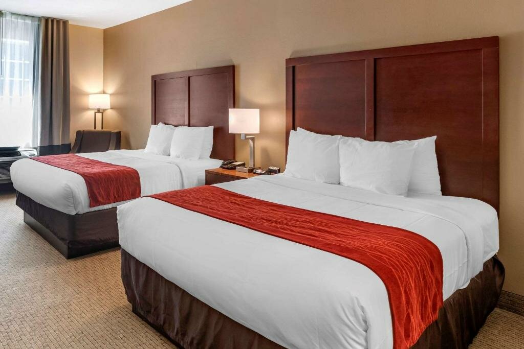 Standard Double room Comfort Inn & Suites Villa Rica