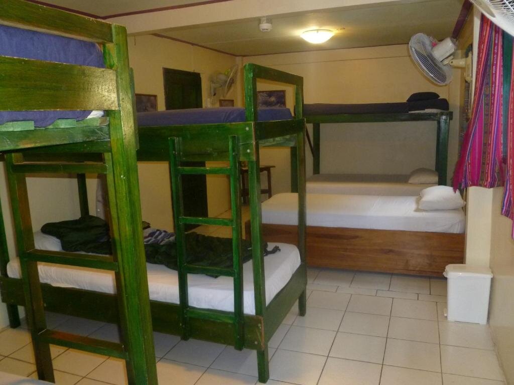 Кровать в общем номере Dreamkapture Hostel close to the airport and bus terminal