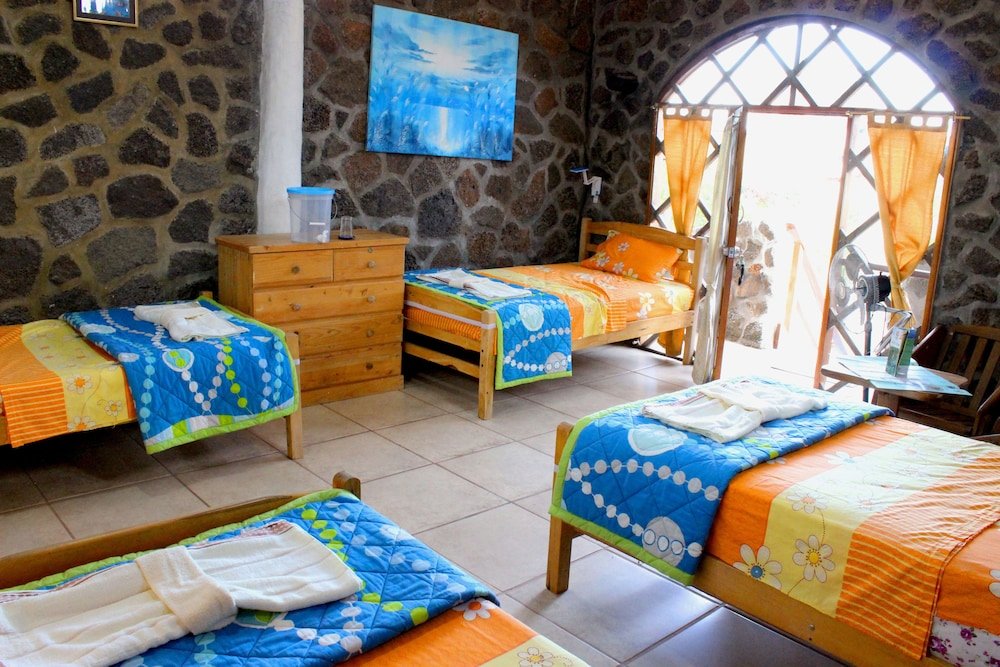 Standard Quadruple room Galapagos Penguin Hostel