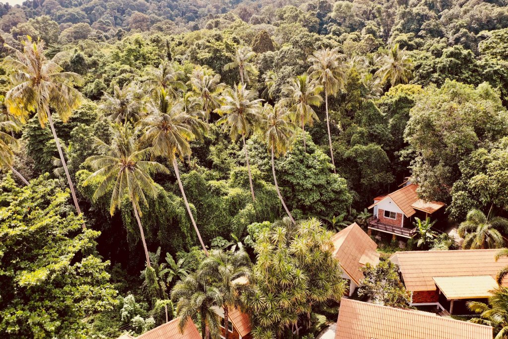 Бунгало Deluxe с видом на сад Adang Island Resort