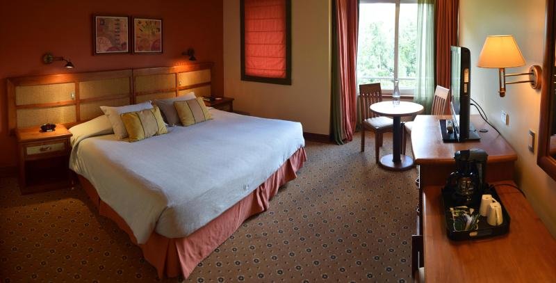 Standard Double room Termas Puyehue Wellness & Spa Resort