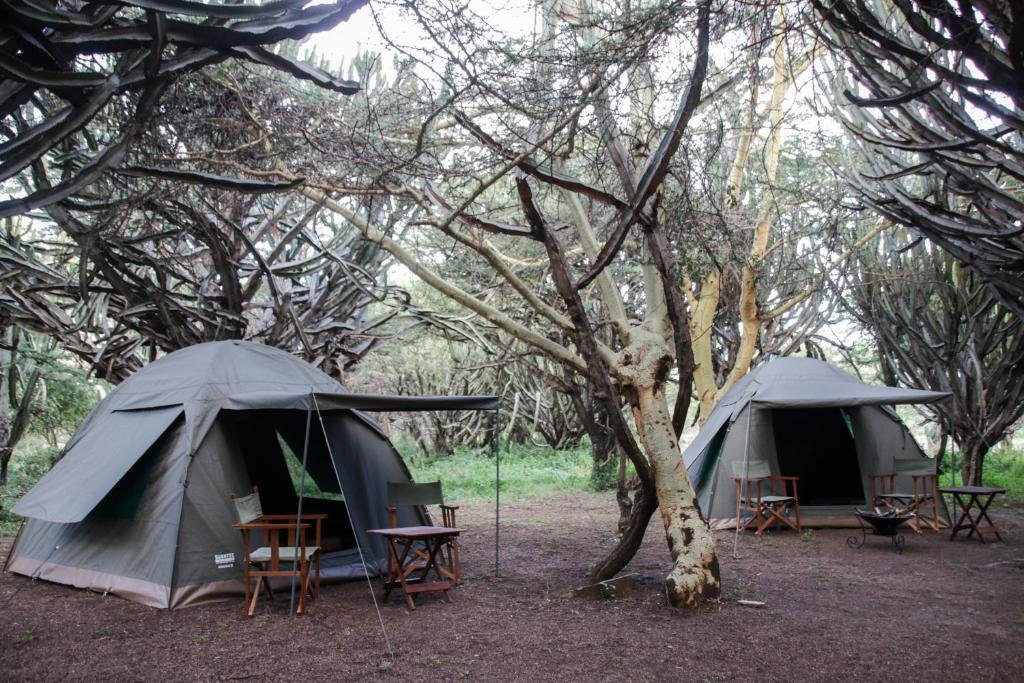 Tent Maji Moto Maasai Cultural Camp