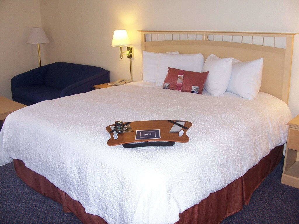 Standard Zimmer Hampton Inn Atlanta-Woodstock