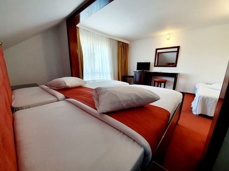 Двухместный номер Standard Hotel Piatra Mare