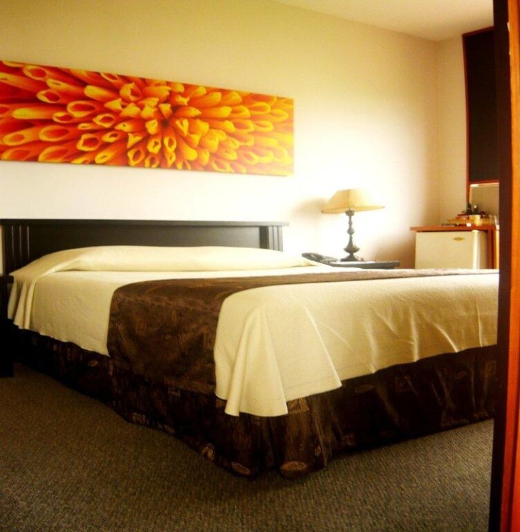 Standard room Hotel Plaza Rosa
