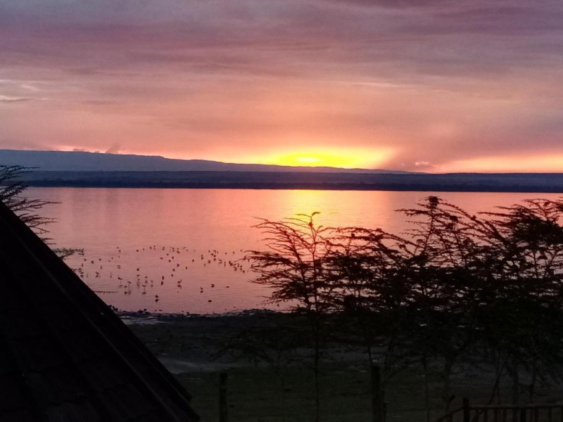 Sirville Lake Elementaita Lodge Nakuru, Kenya. Book Hotel Sirville Lake ...