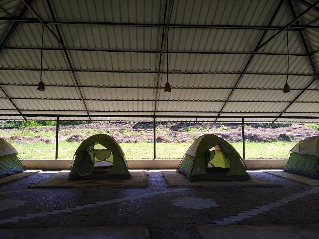 Tent Votecad Nature Camp