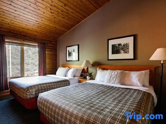 Suite Luxury Miette Mountain Cabins
