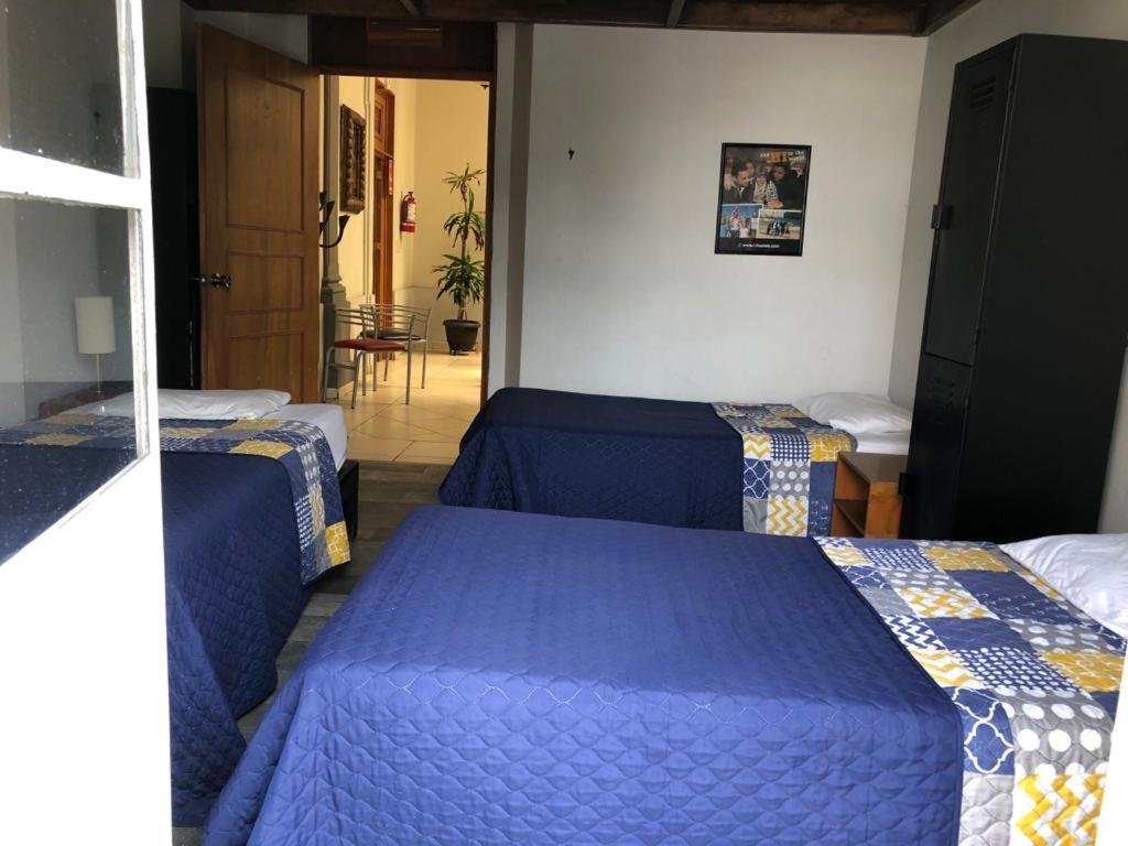 Кровать в общем номере Hostel Lit Guadalajara