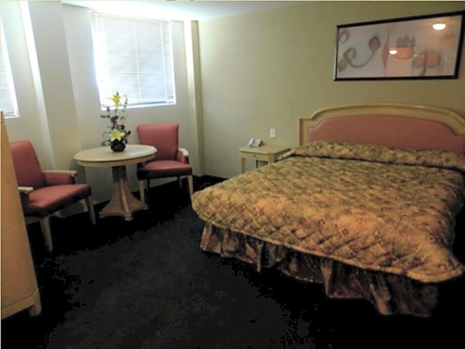 Standard Doppel Zimmer mit Blick Hotel San Francisco Irapuato Business Class