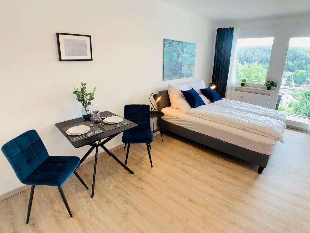Habitación Estándar Komfortables Apartment in Bad Elster mit Netflix