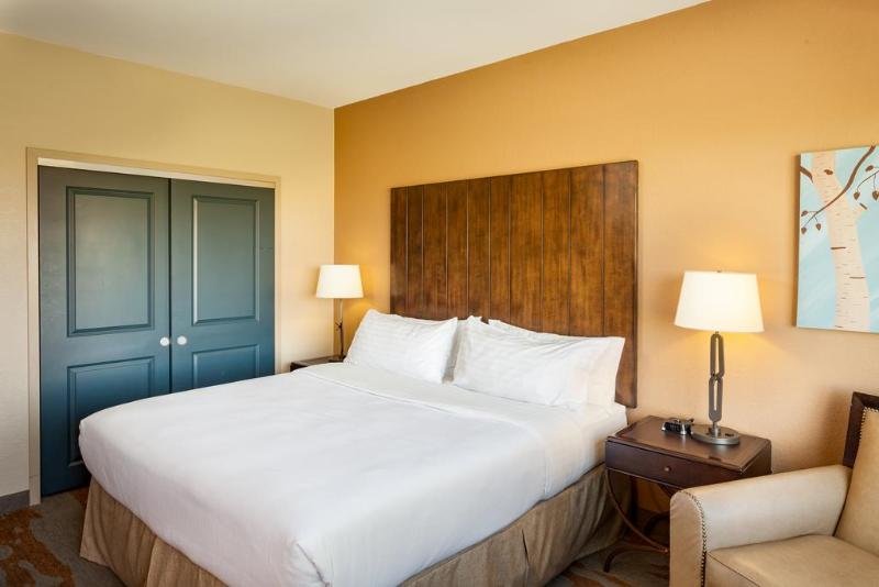 Двухместный номер Standard Holiday Inn San Antonio Northwest- SeaWorld Area, an IHG Hotel