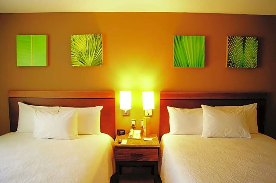 Standard Doppel Zimmer mit Stadtblick Hilton Garden Inn Boca del Rio Veracruz