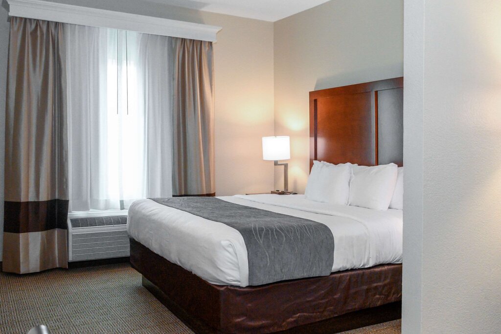 Affaires double suite Comfort Inn & Suites Patriots Point