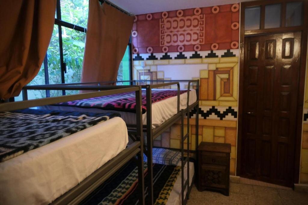 Кровать в общем номере 13 Cielos Hostel