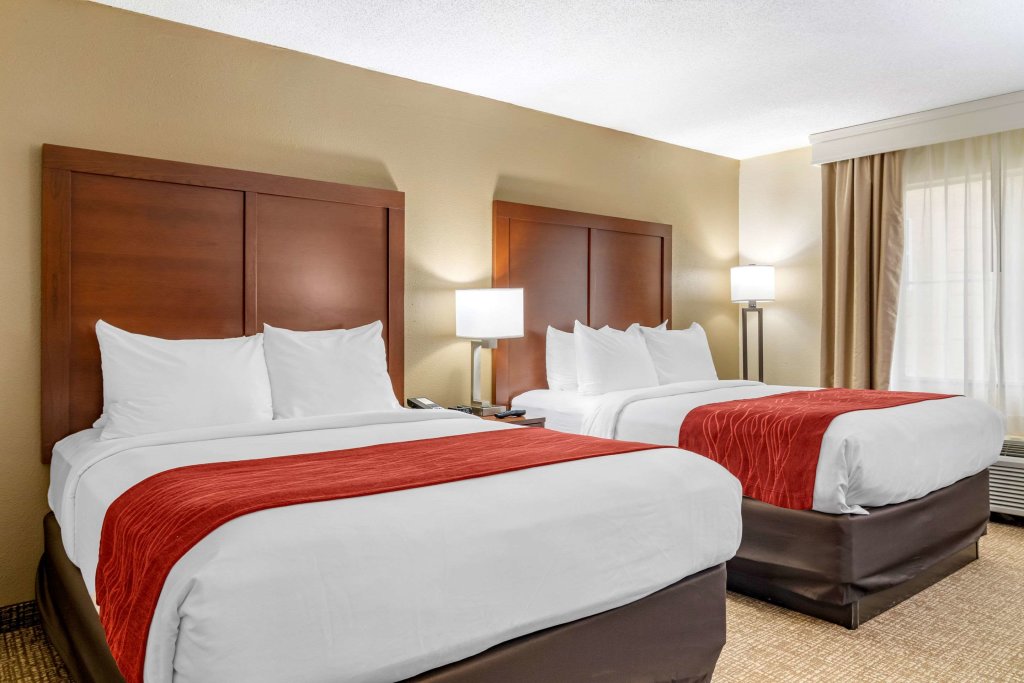 Четырёхместный номер Standard Comfort Inn & Suites Macon North I-75