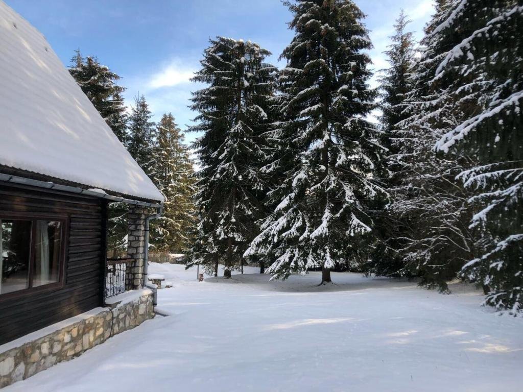 Hütte Lake House