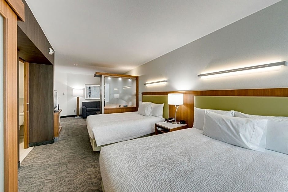Двухместный люкс SpringHill Suites by Marriott Houston The Woodlands