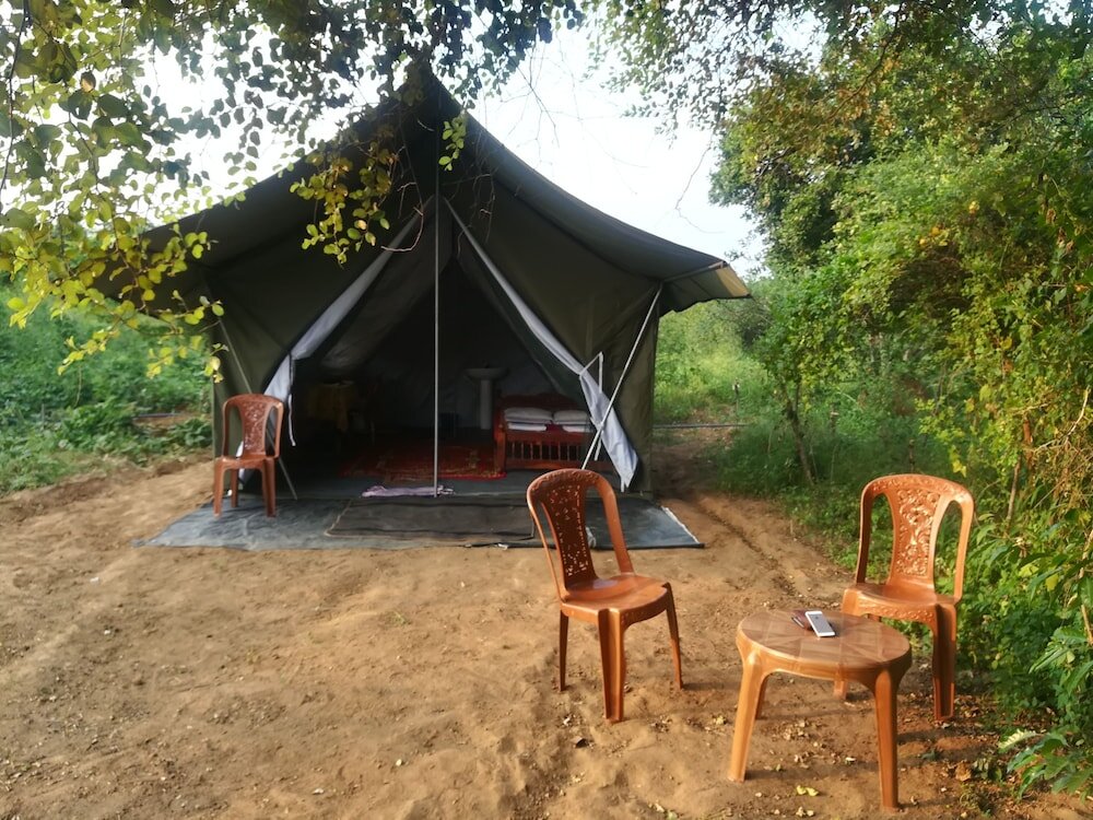 Zelt 1 Schlafzimmer Wild Eco Safari