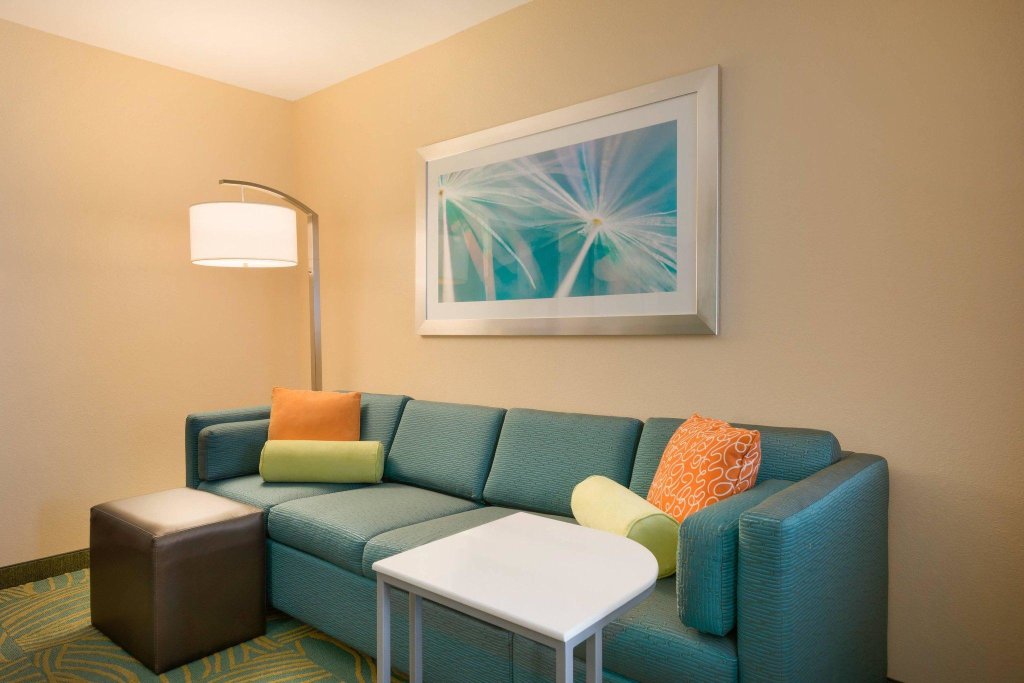 Двухместный люкс SpringHill Suites by Marriott Little Rock