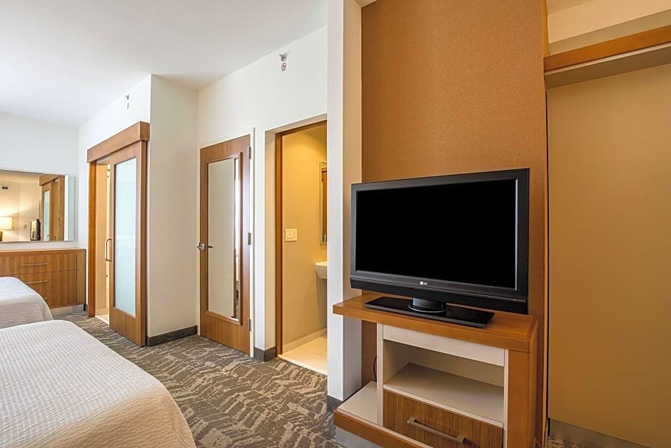 Doppel Suite SpringHill Suites by Marriott-Houston/Rosenberg