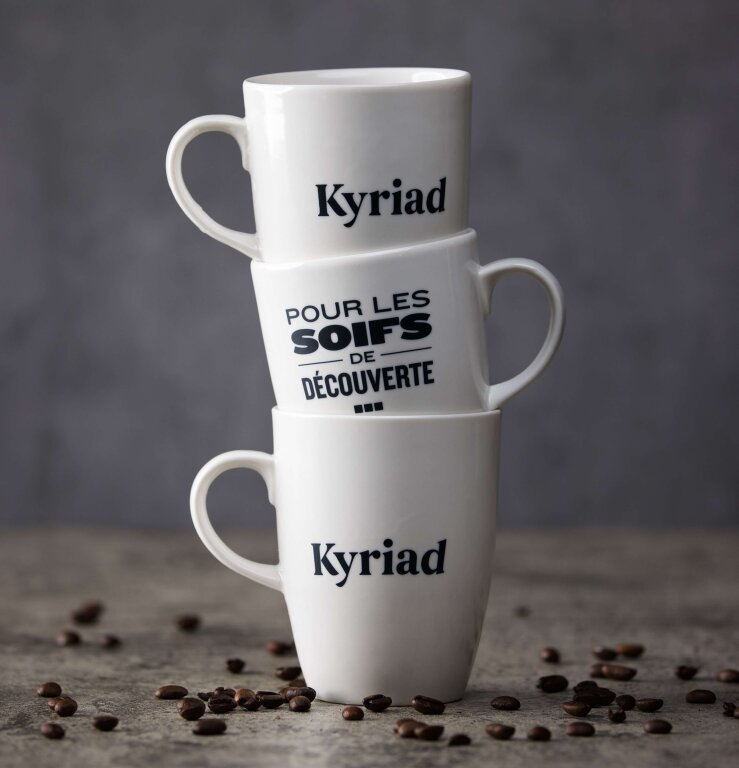 Двухместный номер Standard Kyriad Tours - Joué-Lès-Tours