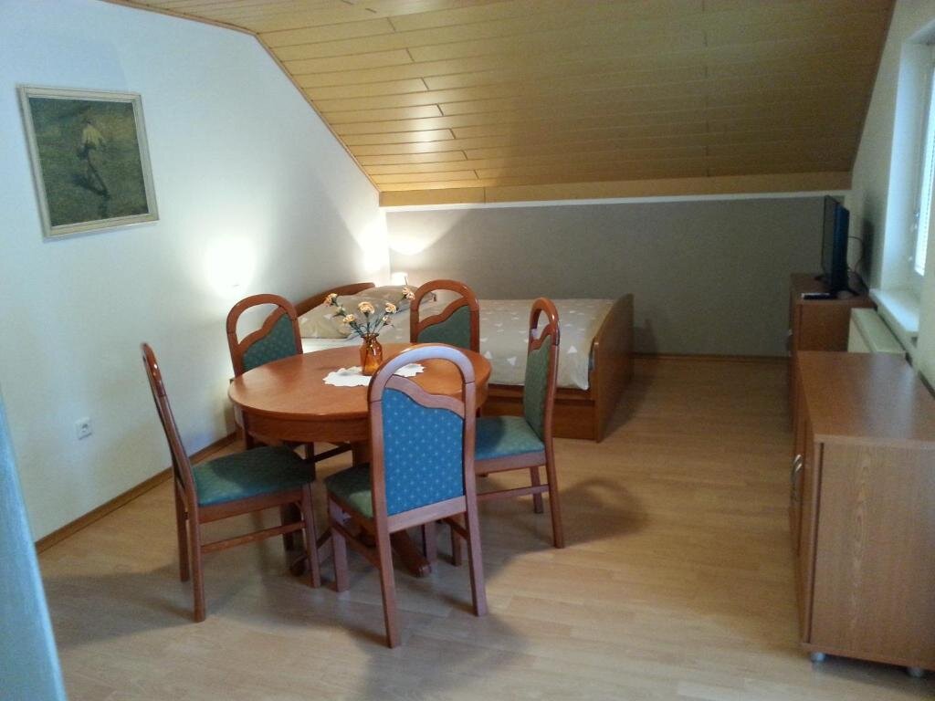 Семейный номер Standard Apartmaji in sobe Kocjančič
