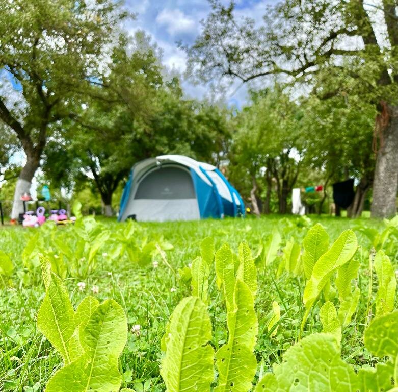 Tent Heaven Camping Bran