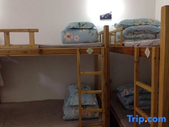 Bed in Dorm (female dorm) Liuzhou Old Tree Youth Hostel