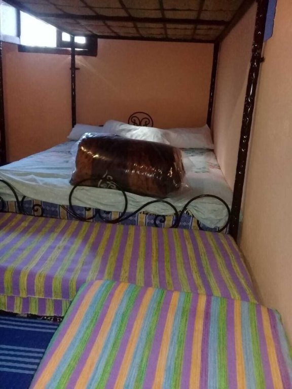 Cama en dormitorio compartido Gite Kalaa