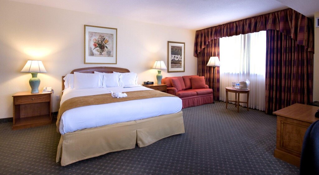 Standard room Holiday Inn Orlando International Drive