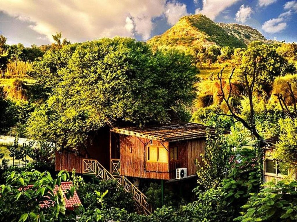 Suite The Tree House Resort