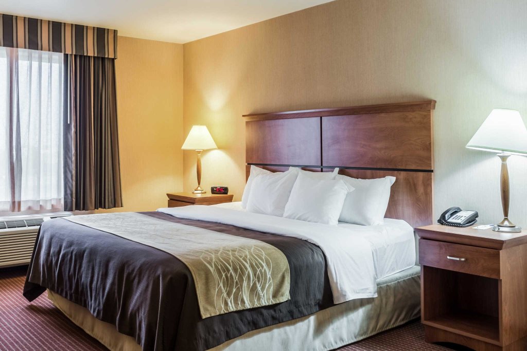 Standard Zimmer Comfort Inn And Suites