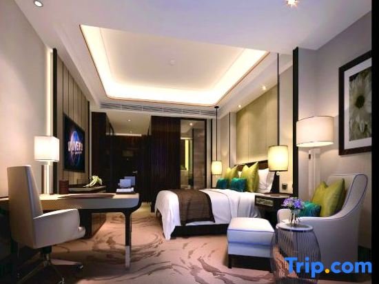 Suite Deluxe Zhengyang Hotel