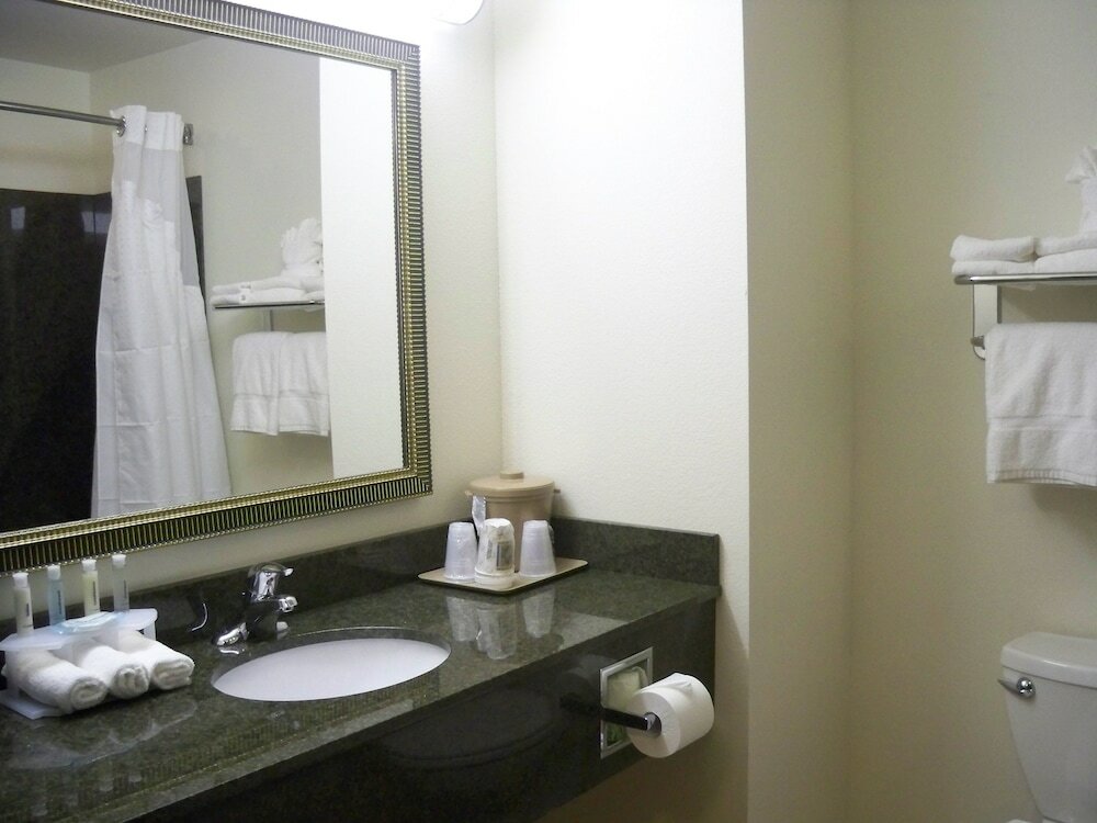 Standard room Holiday Inn Express & Suites - Omaha I - 80, an IHG Hotel