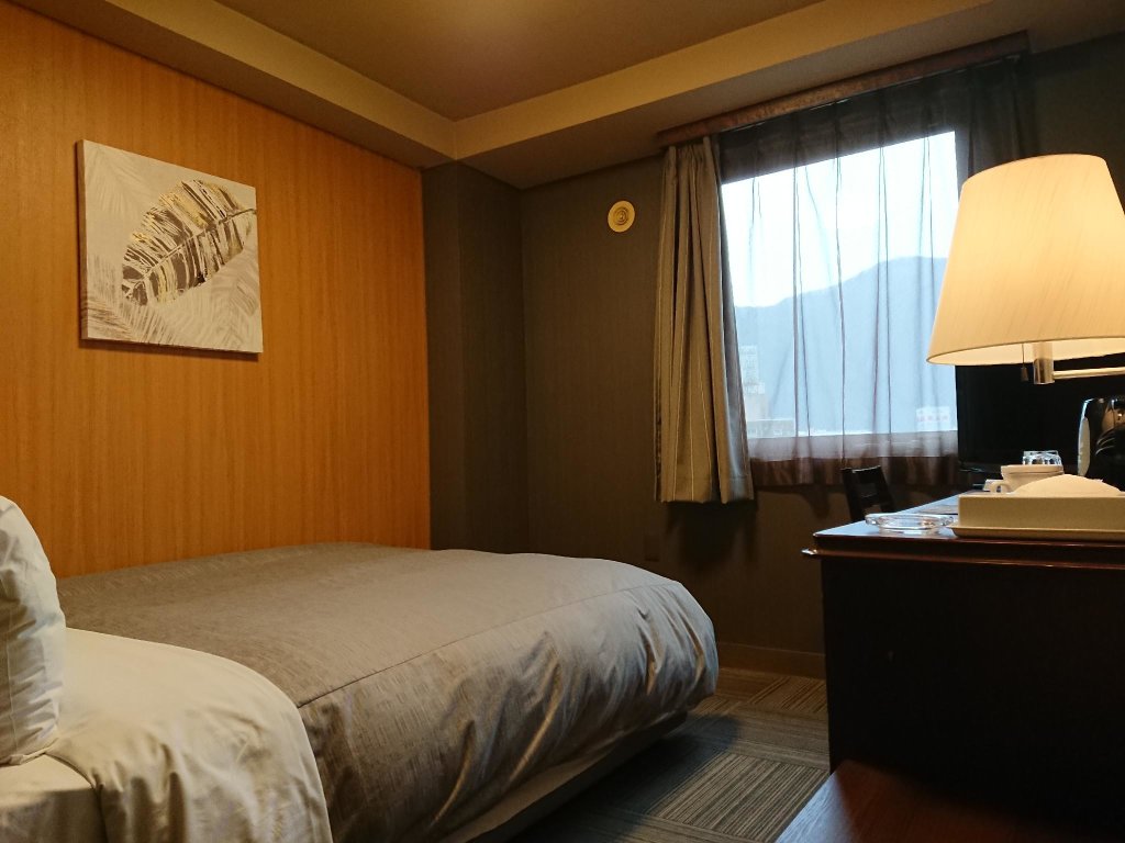 Standard Single room HOTEL ROUTE-INN Kamiyamada Onsen