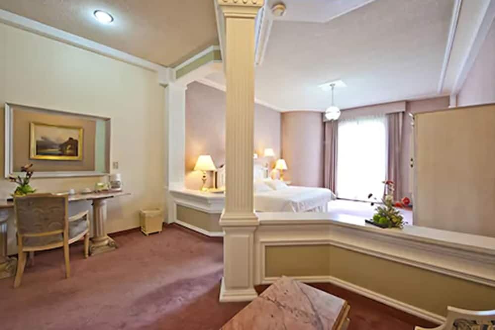 Camera doppia Deluxe 1 camera da letto con vista sul giardino Gran Hotel Alameda