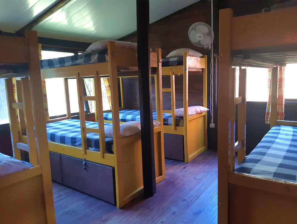 Кровать в общем номере Viajero La Pedrera Hostel