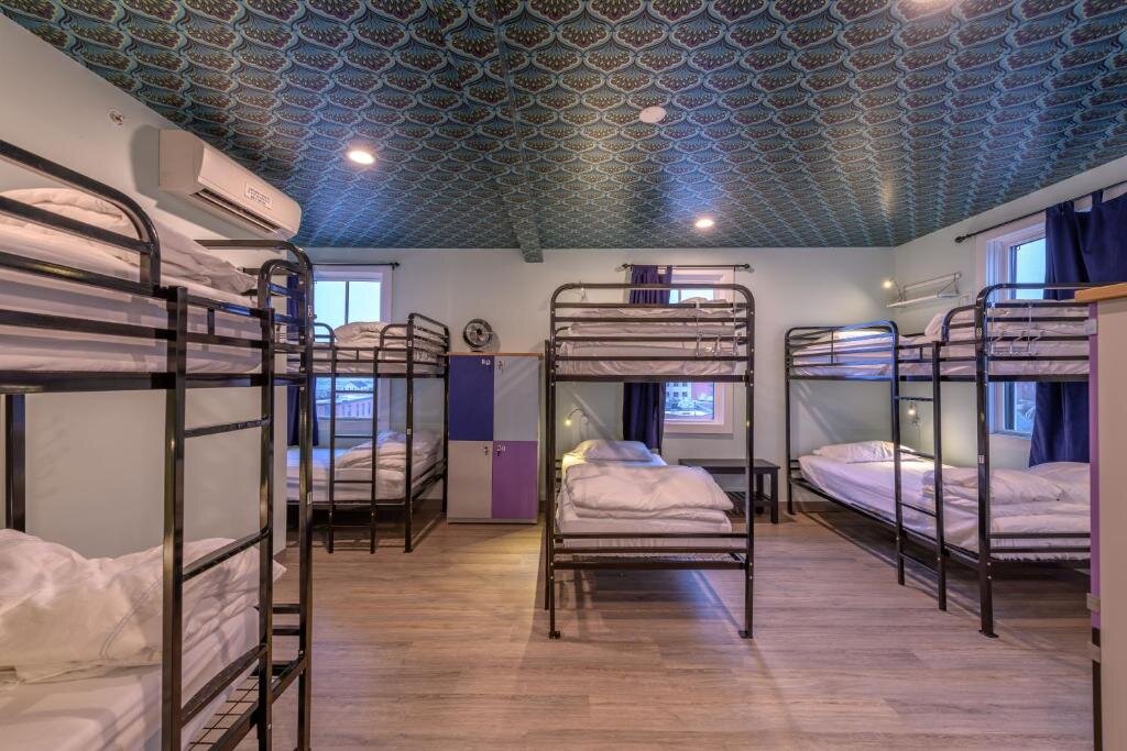 Кровать в общем номере Black Elephant Hostel
