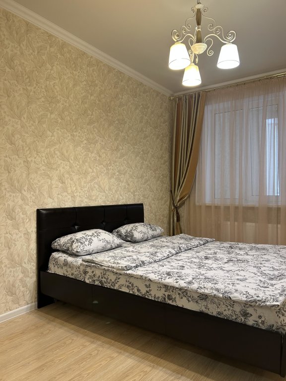 Apartment Na Moskovskoy 97 Flat