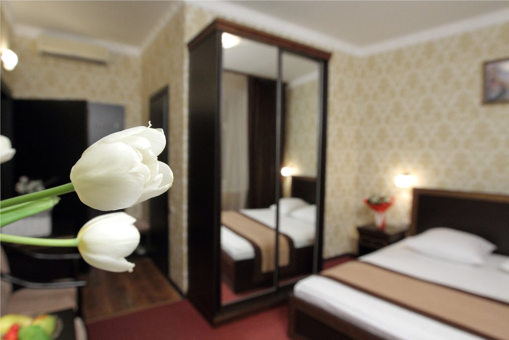 Standard Double room with city view Eliseeff Arbat Hotel
